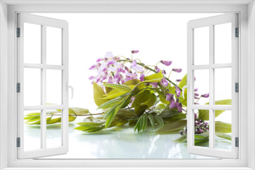 Fototapeta Naklejka Na Ścianę Okno 3D - Branch of beautiful spring blooming Wisteria, isolated on white