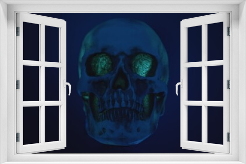 Fototapeta Naklejka Na Ścianę Okno 3D - Skull with colored lighting loop closeup