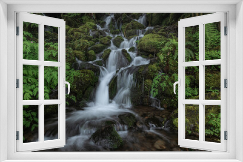 Fototapeta Naklejka Na Ścianę Okno 3D - Tranquil purity with fresh flowing cascading waterfall through lush green mossy environment of Olympic National Park, Washington State
