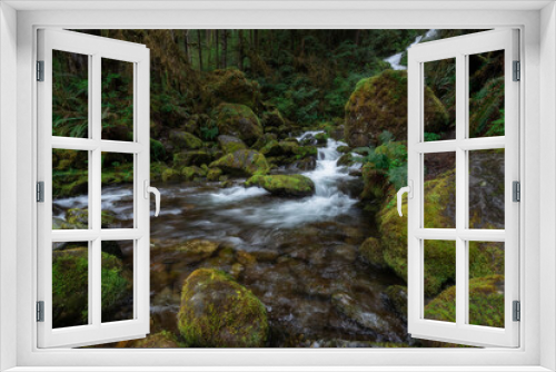 Fototapeta Naklejka Na Ścianę Okno 3D - Cascading waterfall in lush spring environment of the Quinault Rainforest, Pacific Northwest, Washington State