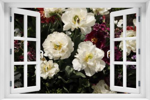 Fototapeta Naklejka Na Ścianę Okno 3D - Kwiaty ogrodowe wiosenne kwitnące kolorowe