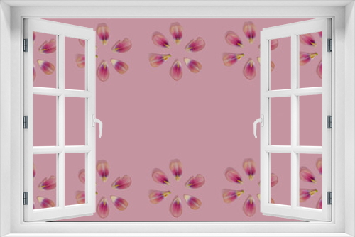 Fototapeta Naklejka Na Ścianę Okno 3D - Pink tulip flower gentle petal with stamen flat lay pattern on a pink minimal background with copy space. Nature creative wallpaper idea.