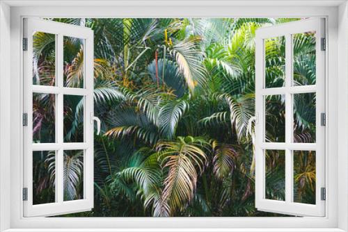 Fototapeta Naklejka Na Ścianę Okno 3D - palm tree