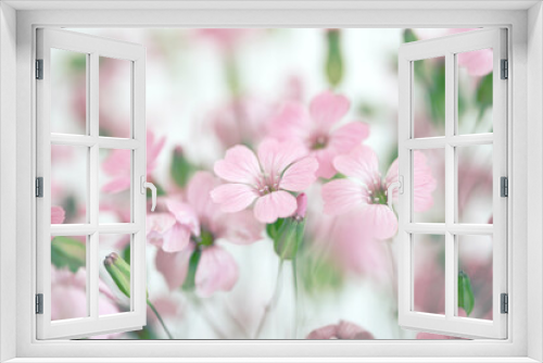 Fototapeta Naklejka Na Ścianę Okno 3D - Soft focus blur pink flower. Fog smoke nature horizontal copy space background.