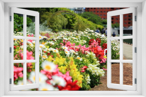 Fototapeta Naklejka Na Ścianę Okno 3D - 隅田川テラスに咲く色とりどりの花々