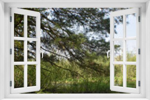 Fototapeta Naklejka Na Ścianę Okno 3D - Canot Marais Kingsbury 21 Mai 2022 