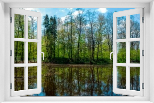 Fototapeta Naklejka Na Ścianę Okno 3D - Panorama of forest lakes in spring, young leaves and freshly blossomed buds of trees and shrubs