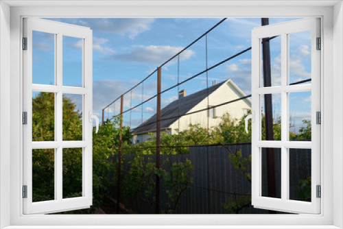 Fototapeta Naklejka Na Ścianę Okno 3D - View of a private farm country house with a vegetable garden, an orchard and a vine blooming along the fence on a warm cloudy summer day. Blue clear sky