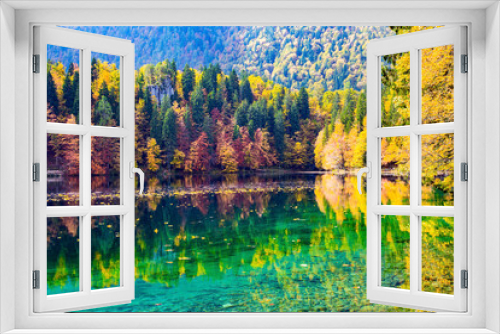 Fototapeta Naklejka Na Ścianę Okno 3D -  The bright colors of the autumn