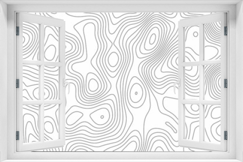 Black and white abstract background vector, Abstract topographic contours map background .Topographic background and texture, monochrome image. 3D waves. Marble texture with natural pattern .