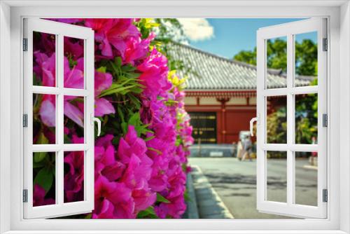 Fototapeta Naklejka Na Ścianę Okno 3D - 東京、浅草寺の境内に咲くツツジ
