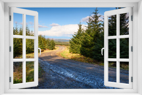 Fototapeta Naklejka Na Ścianę Okno 3D - Kielder Forest Drive winding through conifer plantation, in the Dark Skies section of the Northumberland 250, a scenic road trip though Northumberland with many places of interest along the route 