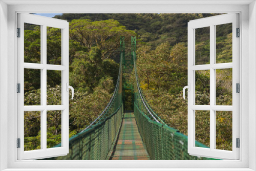Fototapeta Naklejka Na Ścianę Okno 3D - Green suspension bridge. Between the trees. Travel concept, walking, hiking, nature, uncrowded. Cloud forest. Costa Rica.