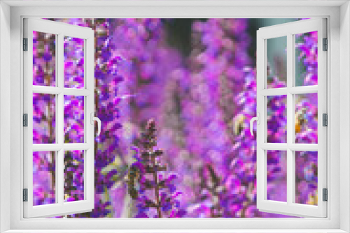 Fototapeta Naklejka Na Ścianę Okno 3D - Flores de Berlim.