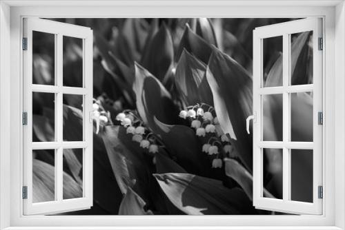 Fototapeta Naklejka Na Ścianę Okno 3D - kwitnące konwalie w słońcu