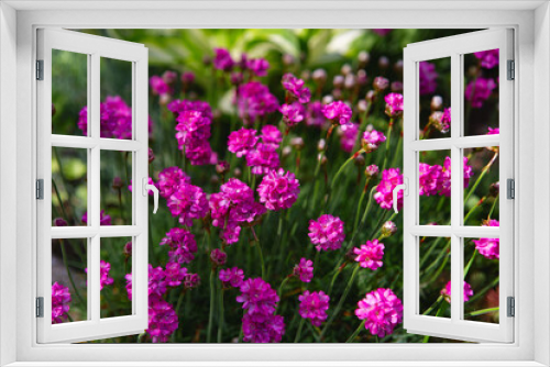 Fototapeta Naklejka Na Ścianę Okno 3D - Small purple flowers with green leaves. internet springtime banner. Spring floral background. Spring flowerbed bright lilac flowers