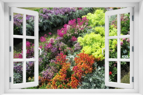 Fototapeta Naklejka Na Ścianę Okno 3D - 色とりどりのたくさんの花々が美しく咲き誇った春の花壇