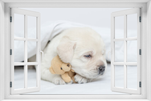 Fototapeta Naklejka Na Ścianę Okno 3D - Cozy Golden retriever puppy lying under warm blanket on the bed at home and hugs favorite toy bear