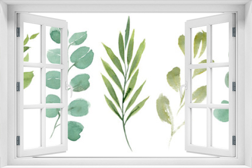 Fototapeta Naklejka Na Ścianę Okno 3D - Clipart eucalyptus and green leaves.