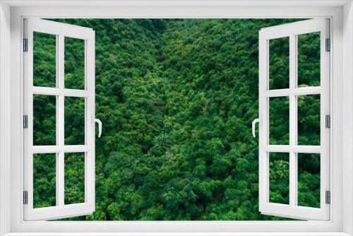 Fototapeta Naklejka Na Ścianę Okno 3D - Aerial view of beautiful forest mountain landscape