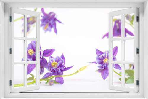 Fototapeta Naklejka Na Ścianę Okno 3D - Spring composition of fresh purple flowers on a white background. Festive floral card and copy space. blurred and selective focus.
