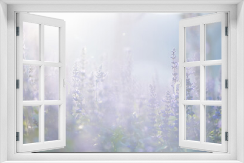 Fototapeta Naklejka Na Ścianę Okno 3D - close up of lavender flowers in pastel blue color