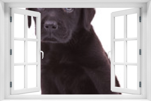 Fototapeta Naklejka Na Ścianę Okno 3D - sad little labrador retriever puppy dog