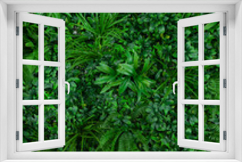 Fototapeta Naklejka Na Ścianę Okno 3D - Natural background with tropical green leaves. Abstract nature pattern with tropical texture.