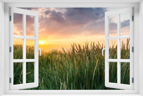Fototapeta Naklejka Na Ścianę Okno 3D - Wheat field panorama at sunset