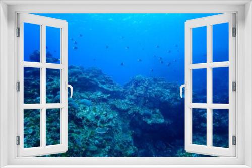 Fototapeta Naklejka Na Ścianę Okno 3D - Underwater in Kume island, Okinawa