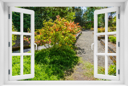 Fototapeta Naklejka Na Ścianę Okno 3D - South_Seattle_Arboretum_Walkway 5