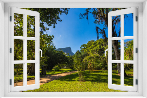 Fototapeta Naklejka Na Ścianę Okno 3D - Beautiful view of Rio de Janeiro botanical garden