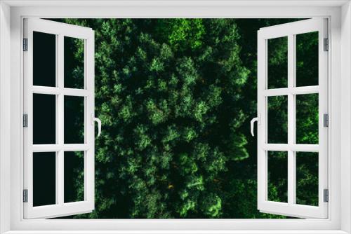 Fototapeta Naklejka Na Ścianę Okno 3D - Green Forest Background, Top Down Drone View