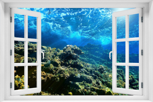 Fototapeta Naklejka Na Ścianę Okno 3D - Underwater art with waves and rays of light over the coral reef.