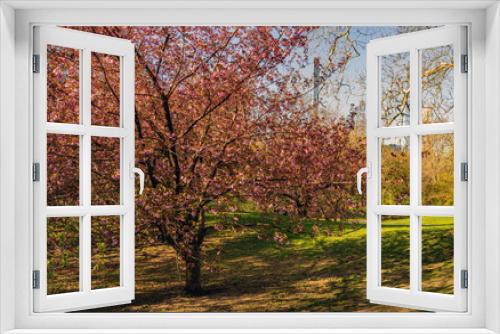 Fototapeta Naklejka Na Ścianę Okno 3D - Central Park in spring