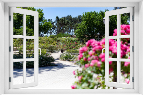 Fototapeta Naklejka Na Ścianę Okno 3D - Flowers. Path full of flowers of different colors in the park of the rose garden of the Parque del Oeste in Madrid. Background full of colorful flowers. Spring print. In Spain. Europe. Photography.	