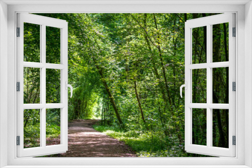 Fototapeta Naklejka Na Ścianę Okno 3D - langer gerader Waldweg