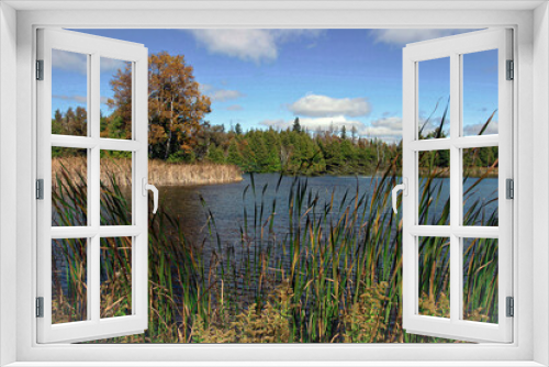 Fototapeta Naklejka Na Ścianę Okno 3D - reeds on the lake