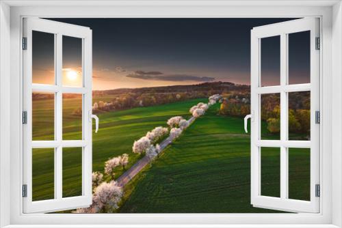 Fototapeta Naklejka Na Ścianę Okno 3D - Wiosna