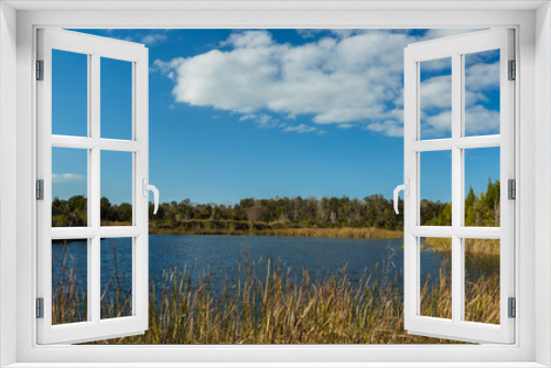 Fototapeta Naklejka Na Ścianę Okno 3D - Lake at Aripeka Sandhills Preserve in Hudson Florida