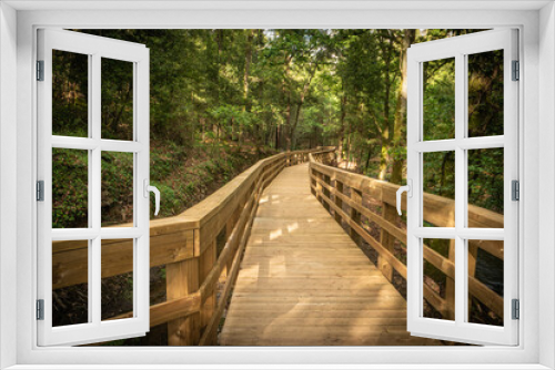 Fototapeta Naklejka Na Ścianę Okno 3D - Wooden footbridge in Stanislaus fountain park
