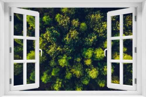 Fototapeta Naklejka Na Ścianę Okno 3D - View of the forest from the drone. Top view of the trees on a spring evening. The concept of nature waking up after winter. Aerial view of the forest, trees