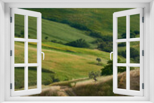 Fototapeta Naklejka Na Ścianę Okno 3D - green pastures in the hills on the Nebrodi mountains in Central Sicily between various shades of green and yellow of late spring