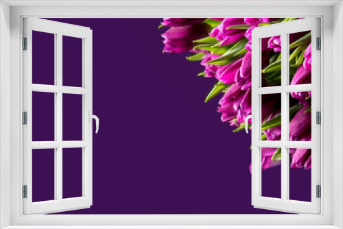 Fototapeta Naklejka Na Ścianę Okno 3D - Bunch of violet tulips on a lilac background