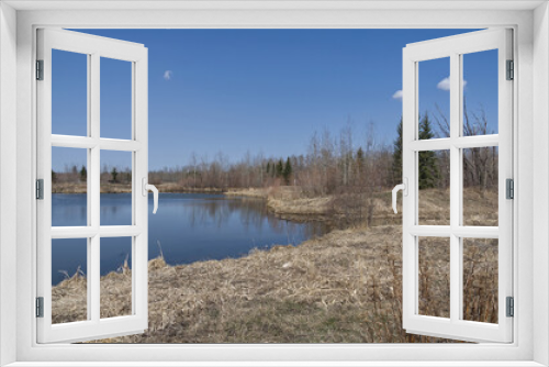 Fototapeta Naklejka Na Ścianę Okno 3D - Pylypow Wetlands on an Early Spring Day