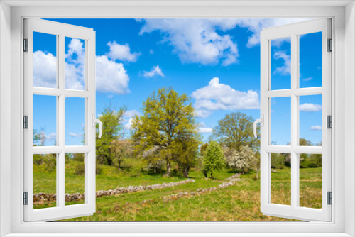 Fototapeta Naklejka Na Ścianę Okno 3D - Idyllic rural landscape with stone wall on a meadow