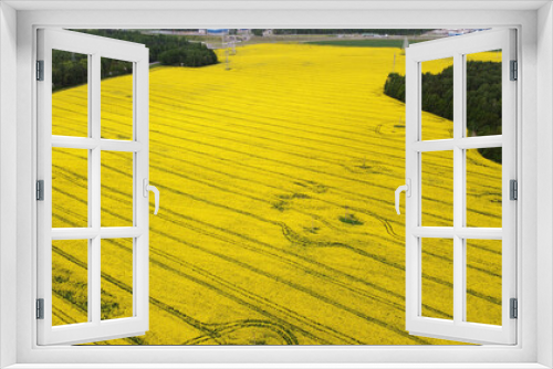 Fototapeta Naklejka Na Ścianę Okno 3D - Topview on yellow rapeseed agro fields
