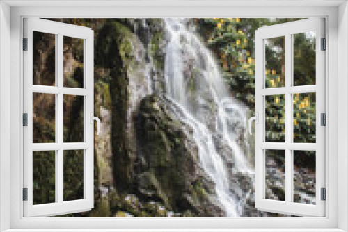 Fototapeta Naklejka Na Ścianę Okno 3D - waterfall in the forest, Azores