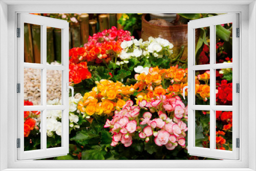 Fototapeta Naklejka Na Ścianę Okno 3D - Bright background with colorful roses