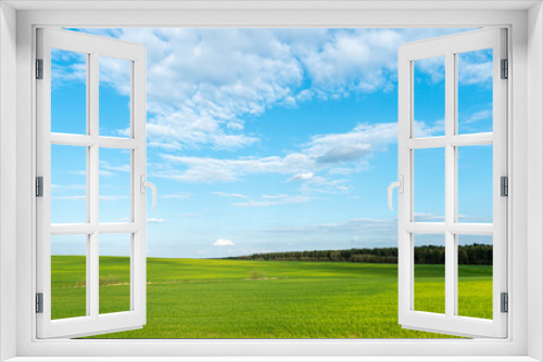 Fototapeta Naklejka Na Ścianę Okno 3D - Beautiful field and forest on a background of clouds on a sunny summer day. Nature landscape. Harvesting and preparing the field for sowing seeds.